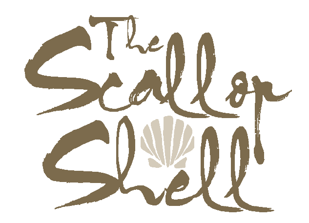 Scallop Shell